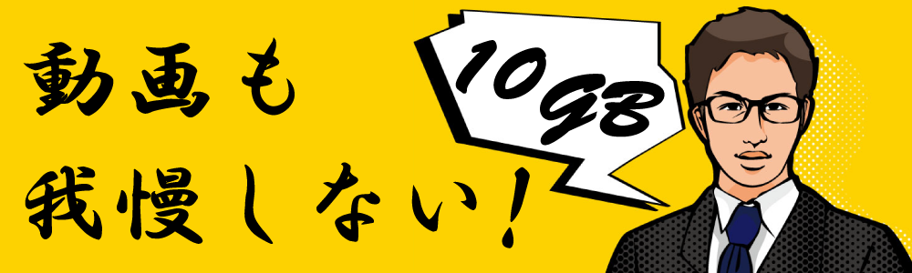 動画も我慢しない10GBプラン